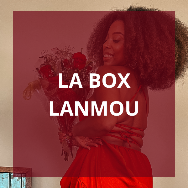 Mini Box Lanmou